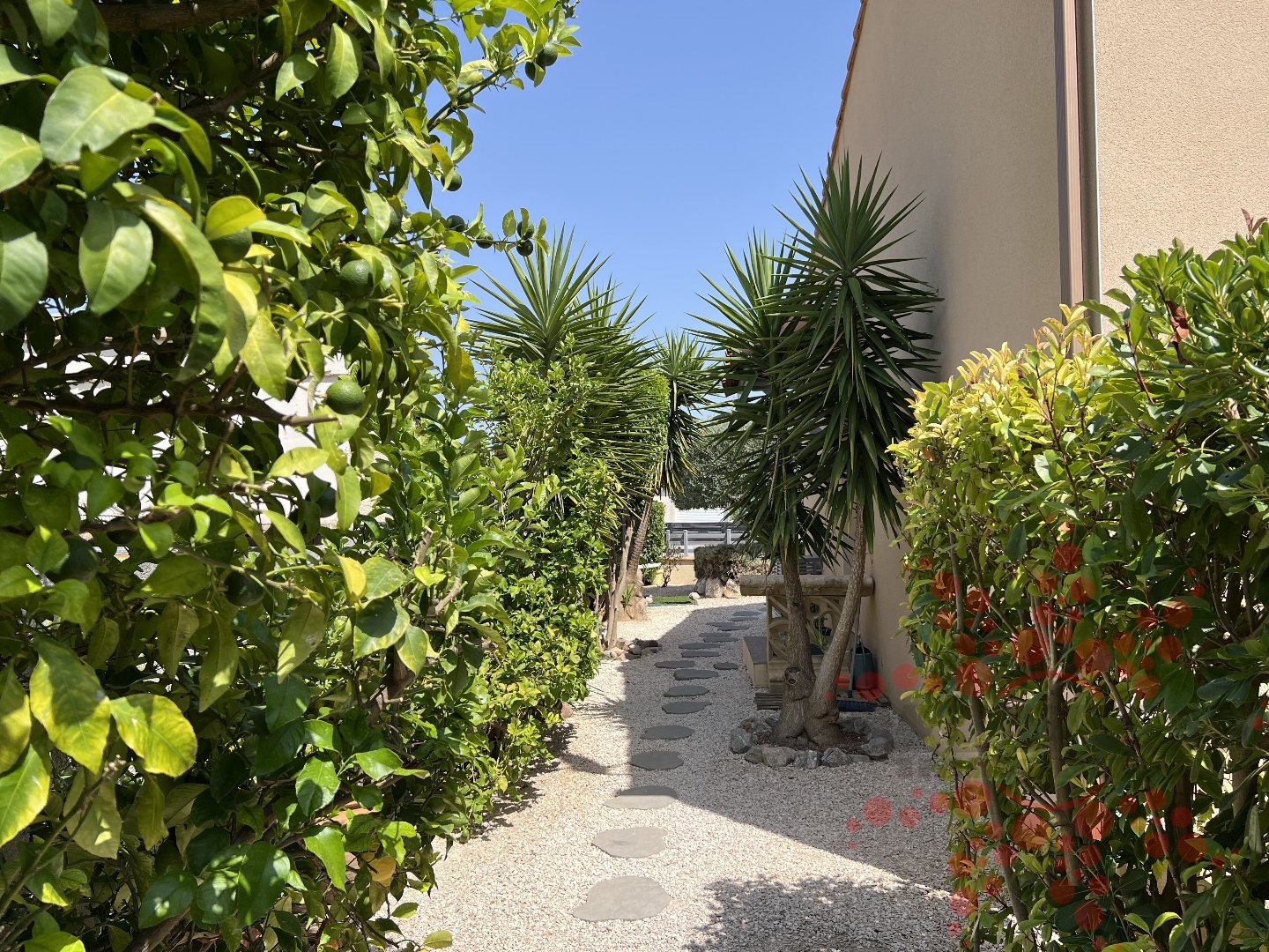 Maison à vendre, 140m², Luc-sur-Orbieu