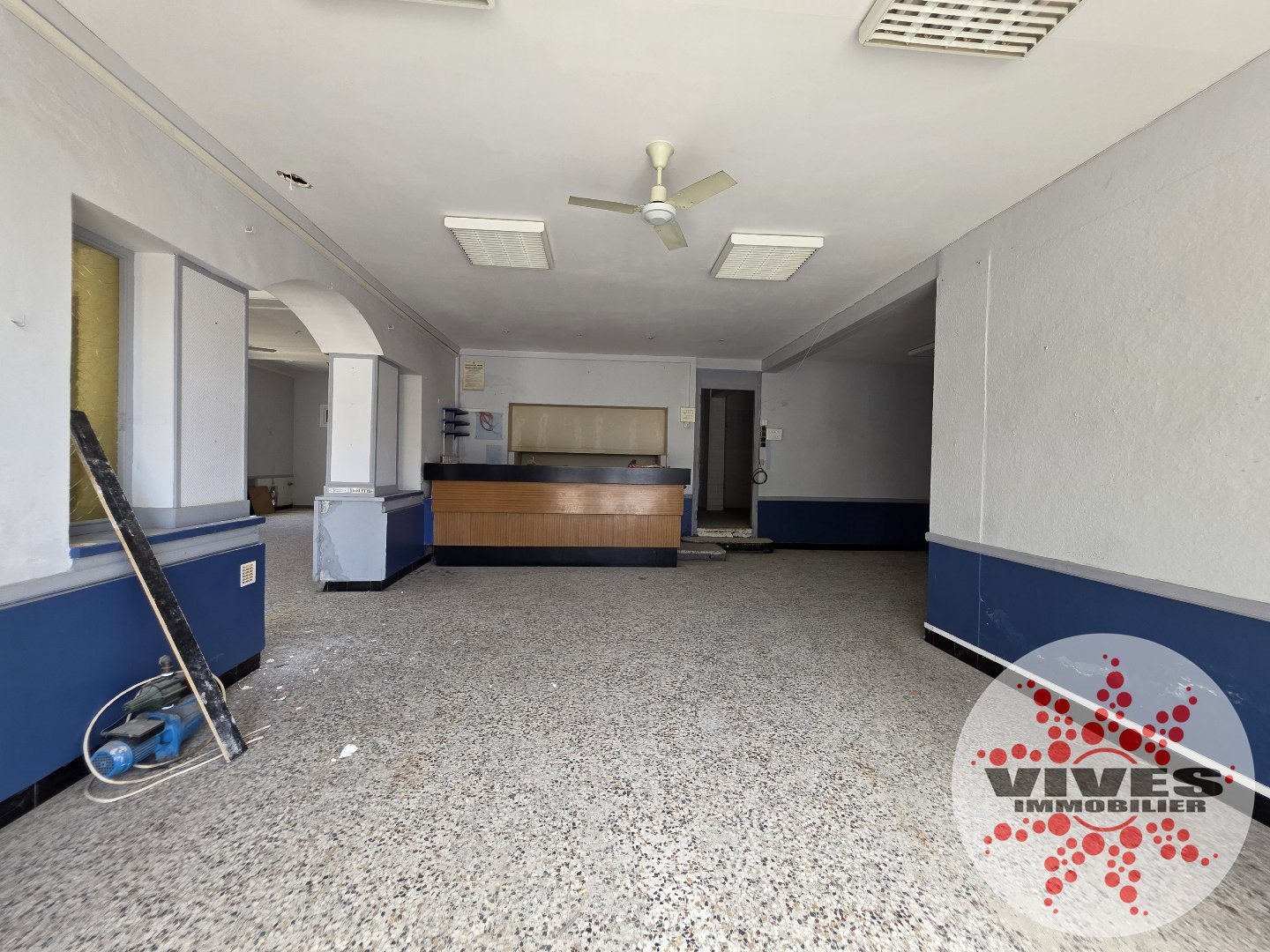 Maison à vendre, 410m², Capestang