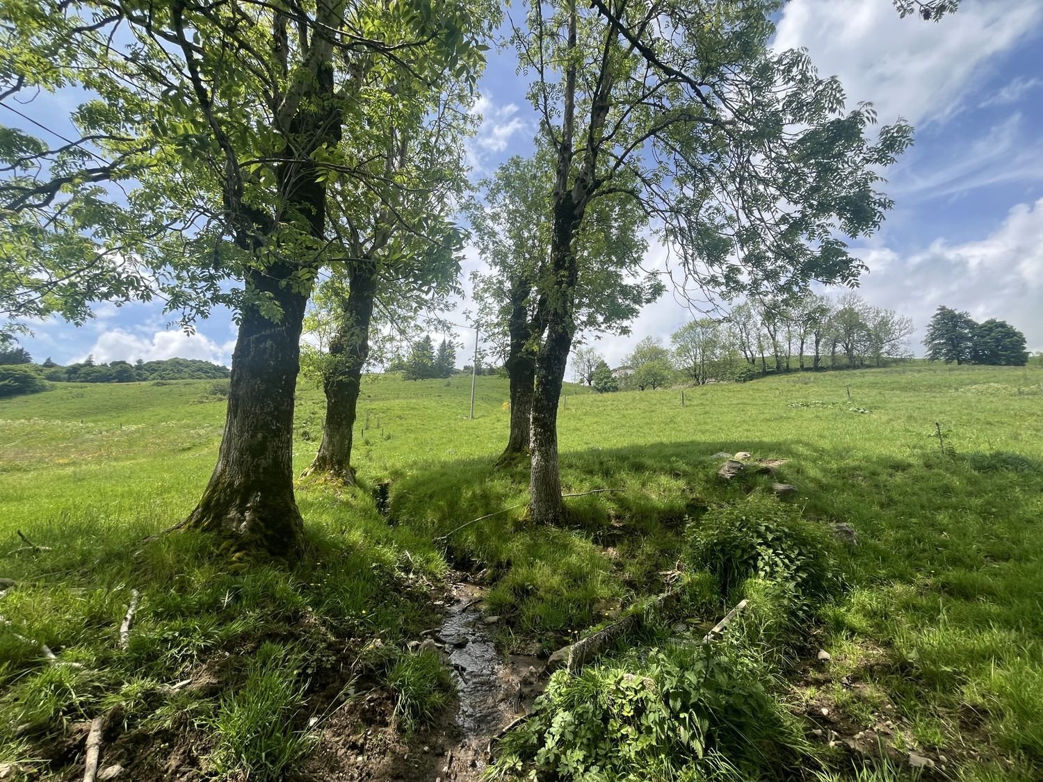 Maison à vendre, 100m², Besse-et-Saint-Anastaise