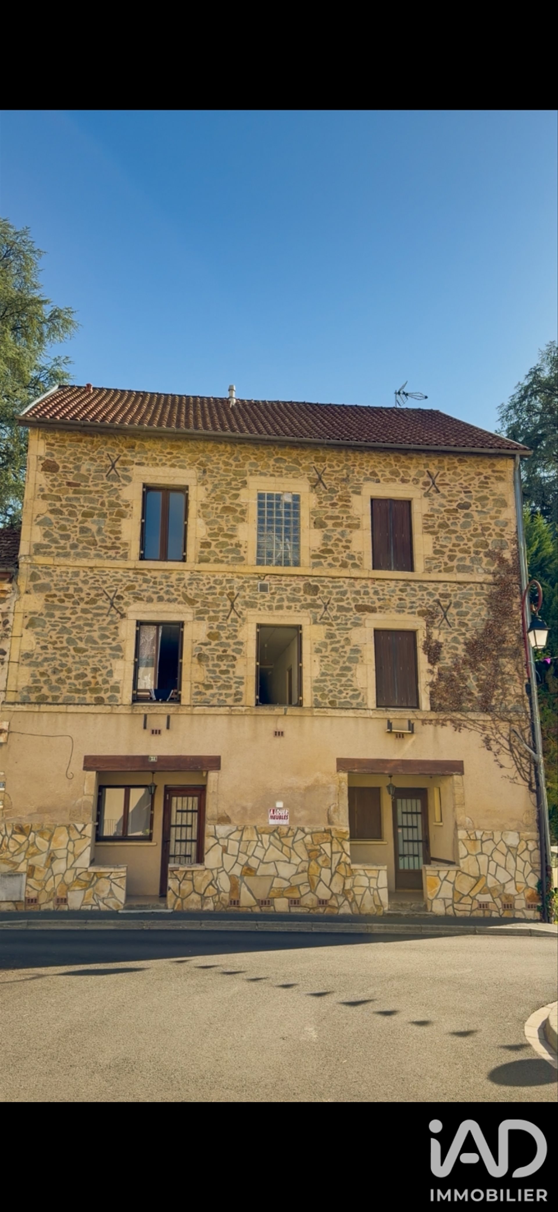 Maison à vendre, 350m², Cransac