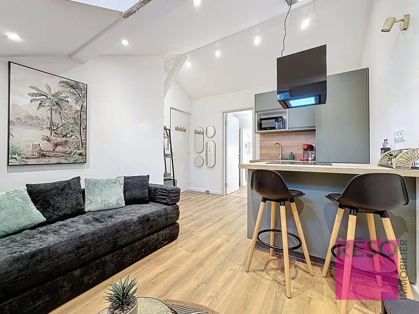 Appartement à louer, 20m², Annemasse