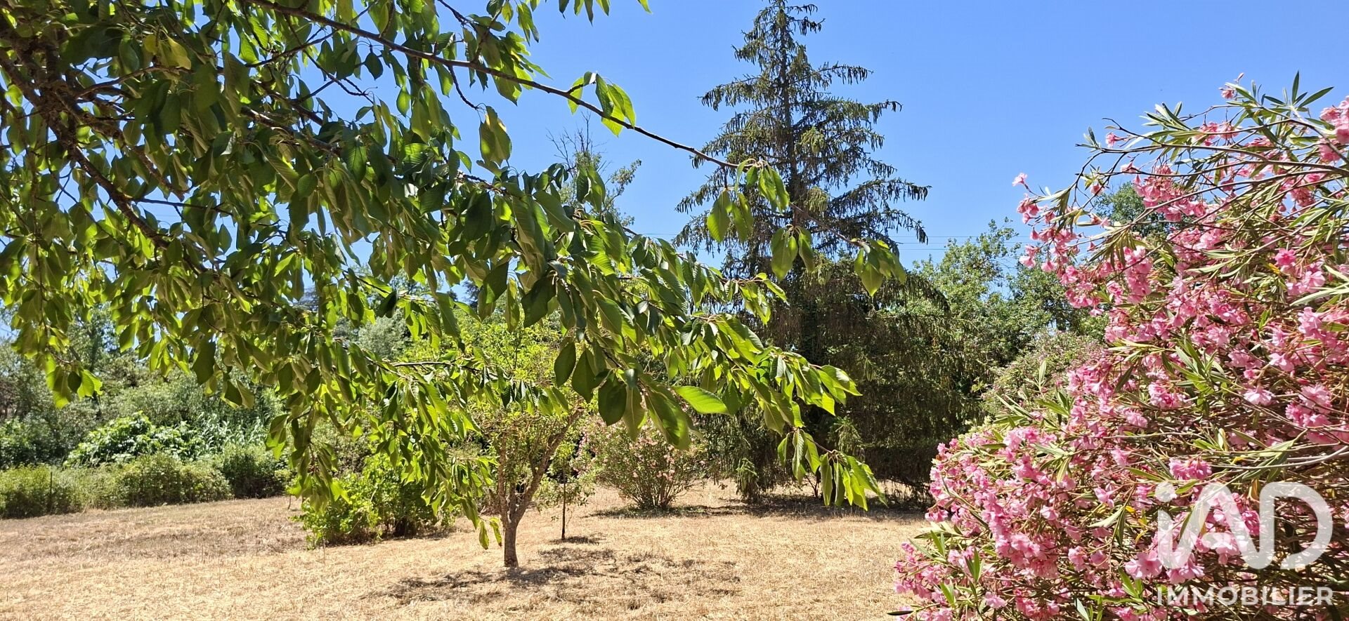 Maison à vendre, 266m², Trèbes