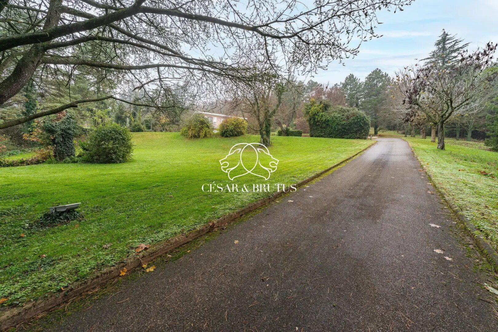 Maison à vendre, 355m², Collonges-au-Mont-d'Or