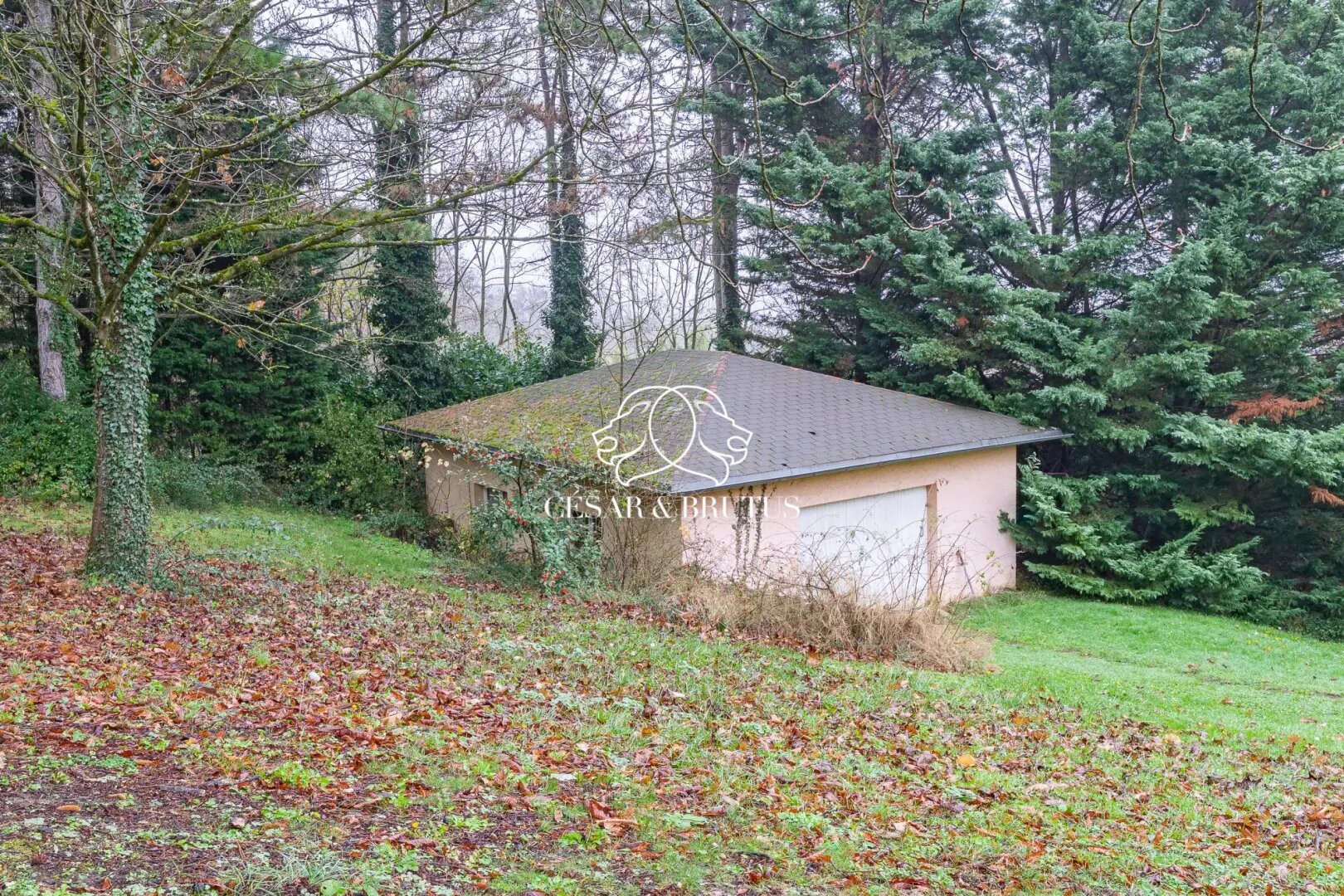 Maison à vendre, 355m², Collonges-au-Mont-d'Or