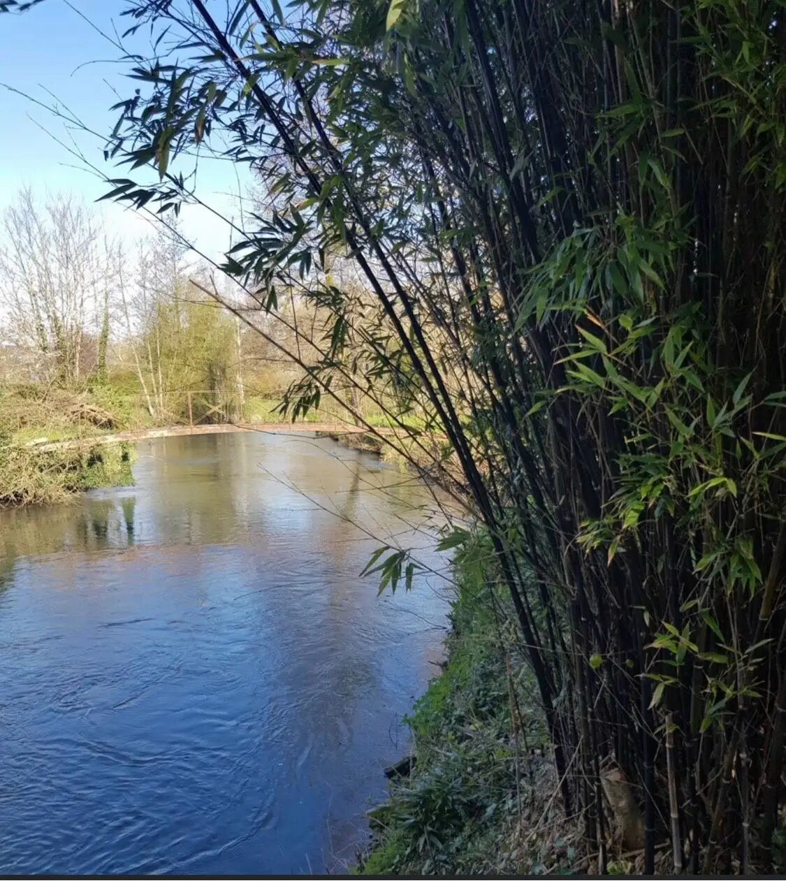 Maison à vendre, 320m², Plachy-Buyon