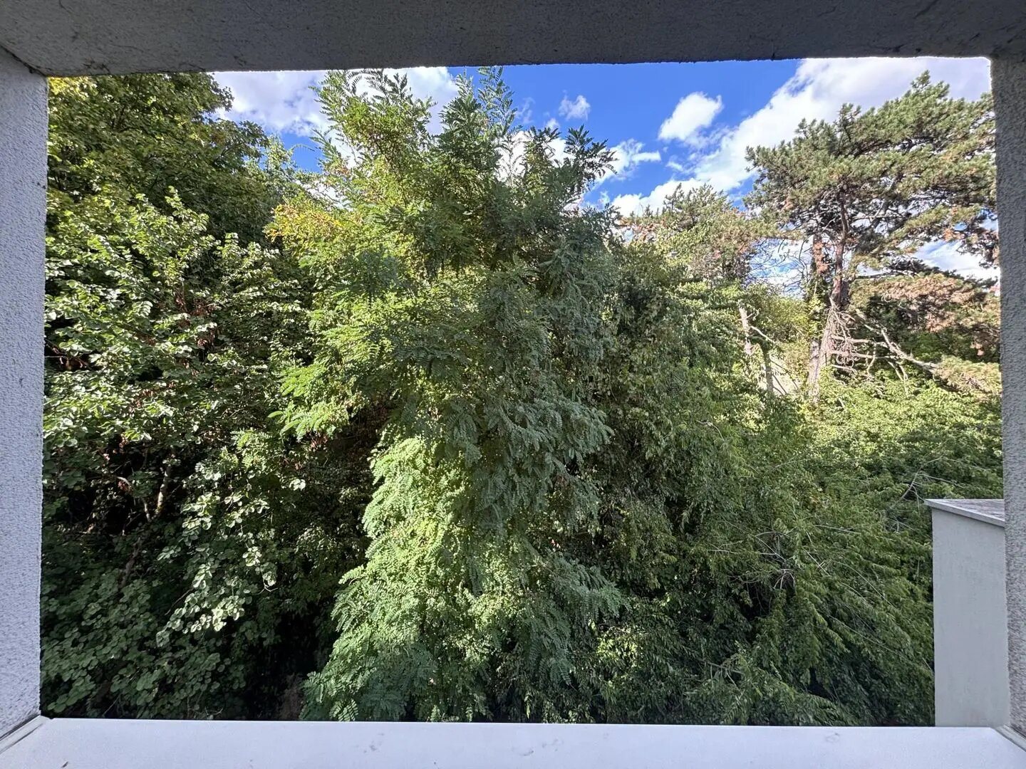 Appartement à vendre, 21m², Caluire-et-Cuire