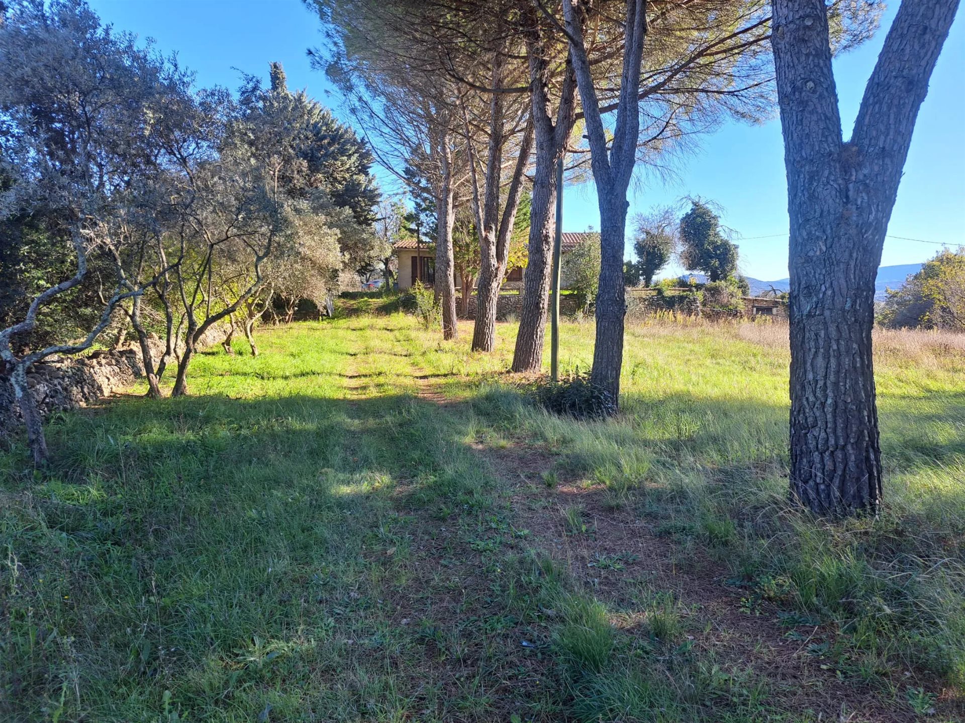 Maison à vendre, 143m², Saint-Maximin-la-Sainte-Baume