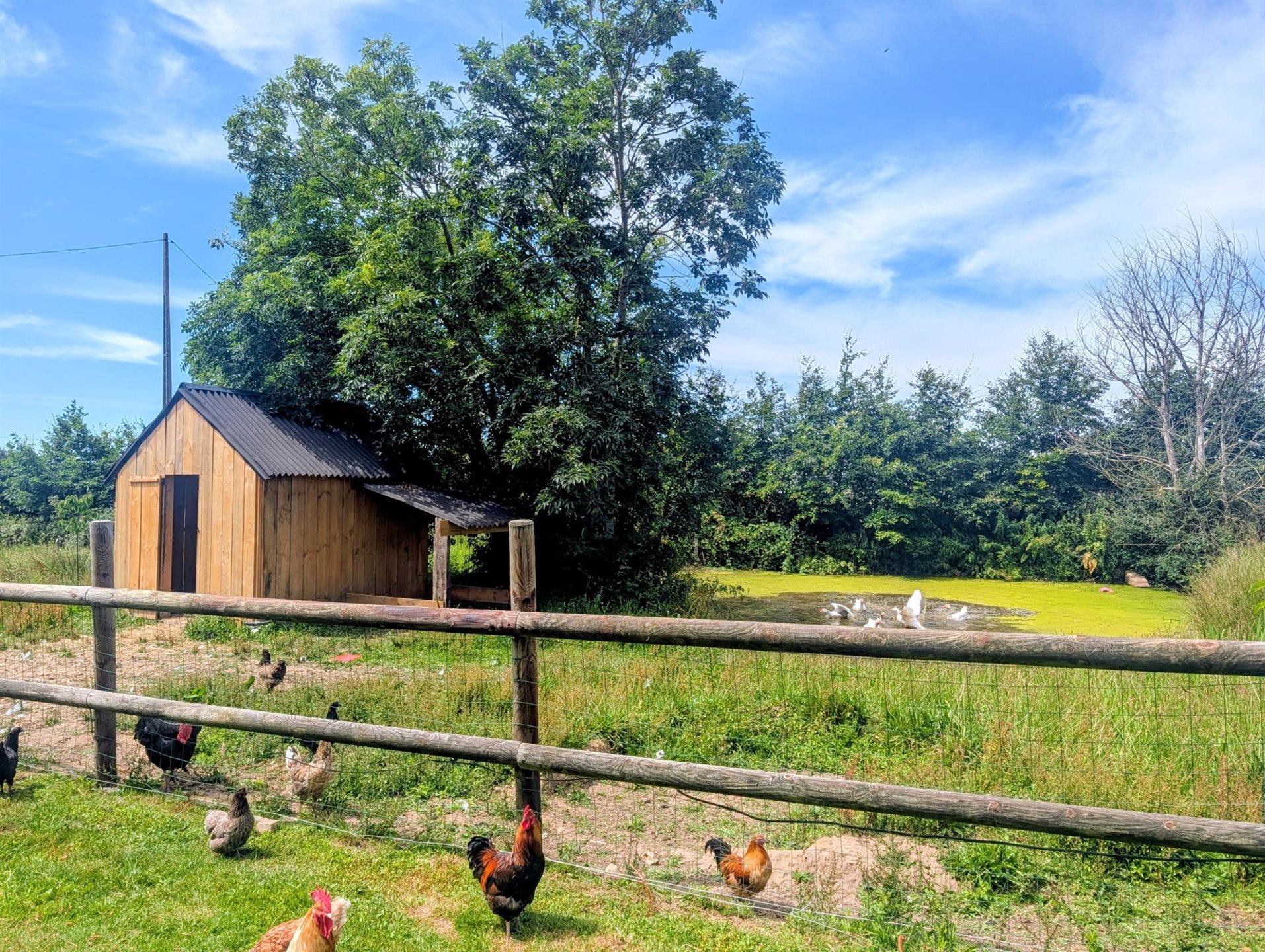 Maison à vendre, 200m², Saint-Vaast-Dieppedalle