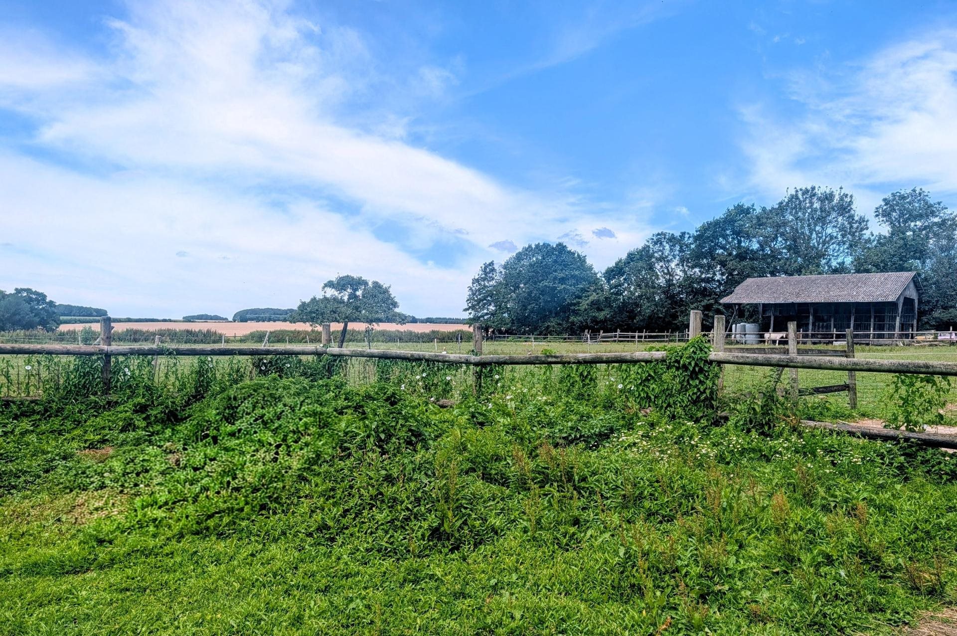 Maison à vendre, 200m², Saint-Vaast-Dieppedalle