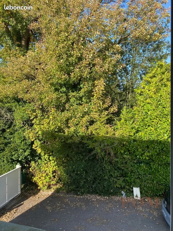 Maison à vendre, 93m², Bois-Guillaume