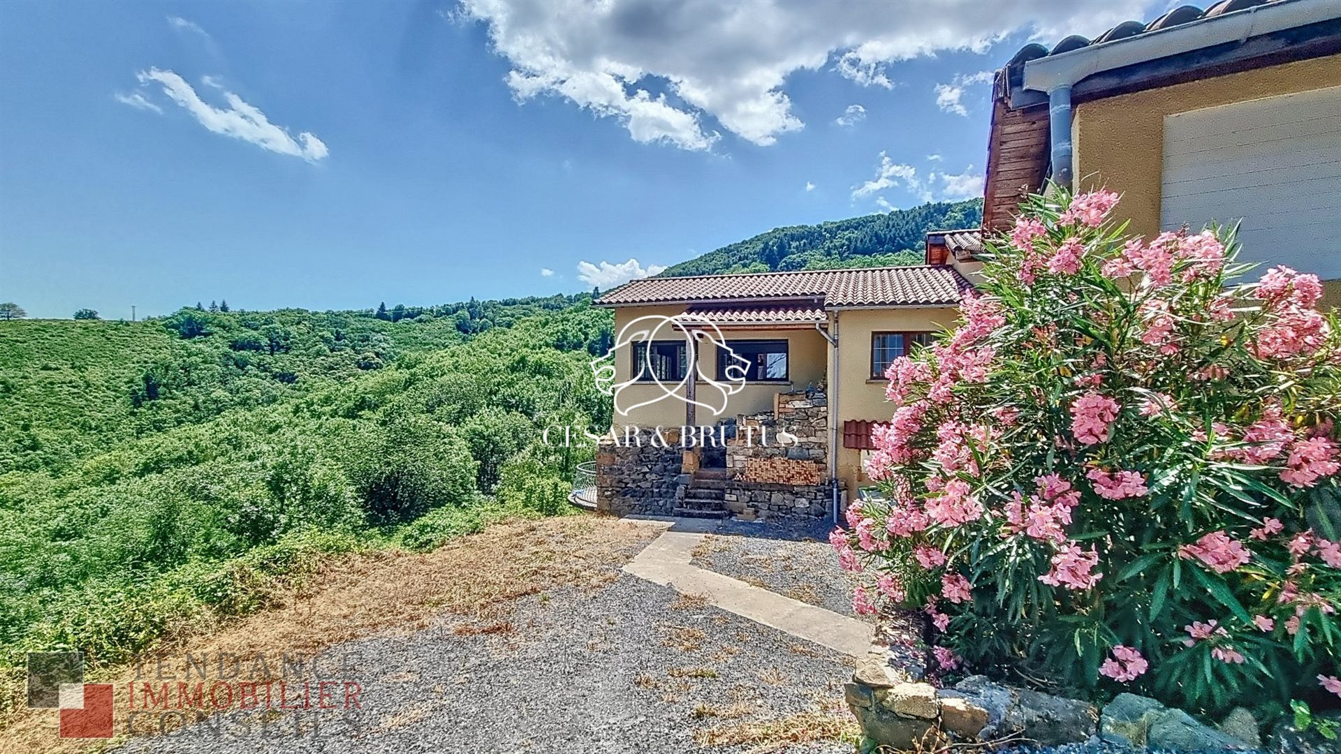 Maison à vendre, 528m², Vaux-en-Beaujolais