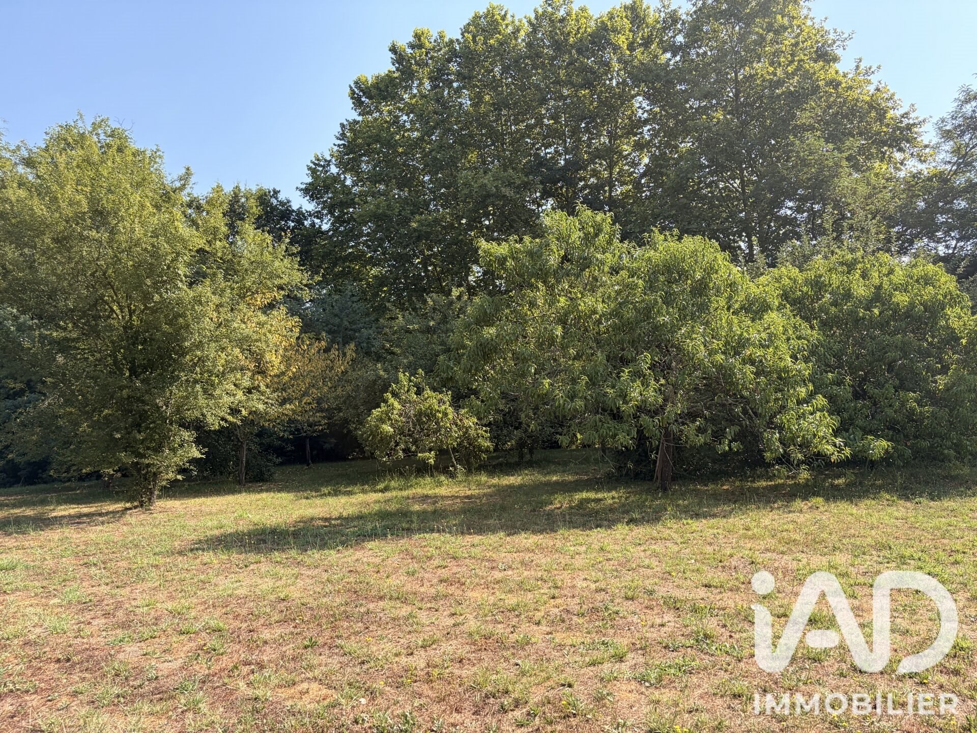 Maison à vendre, 125m², Sort-en-Chalosse