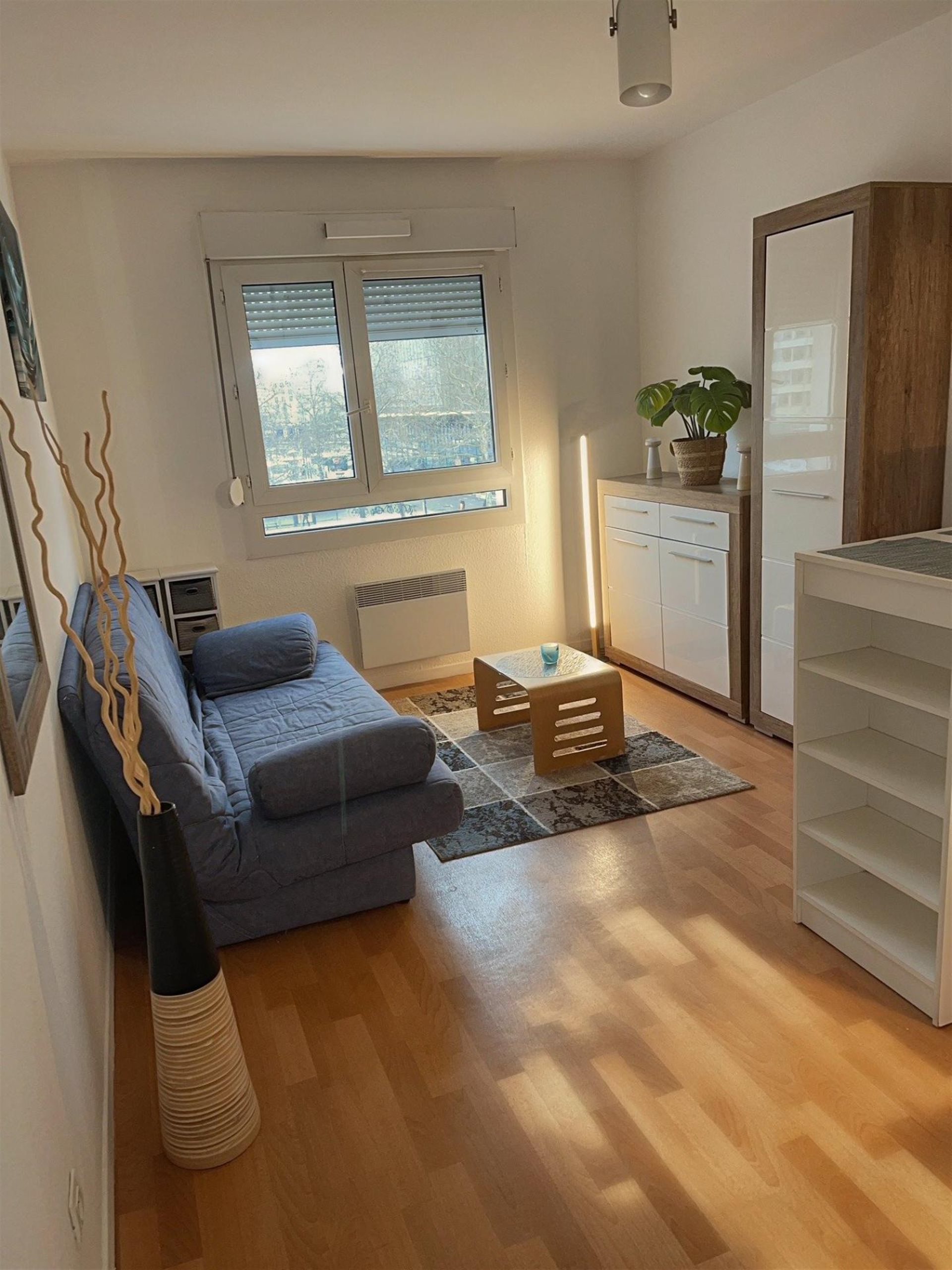 Appartement à vendre, 20m², Nancy