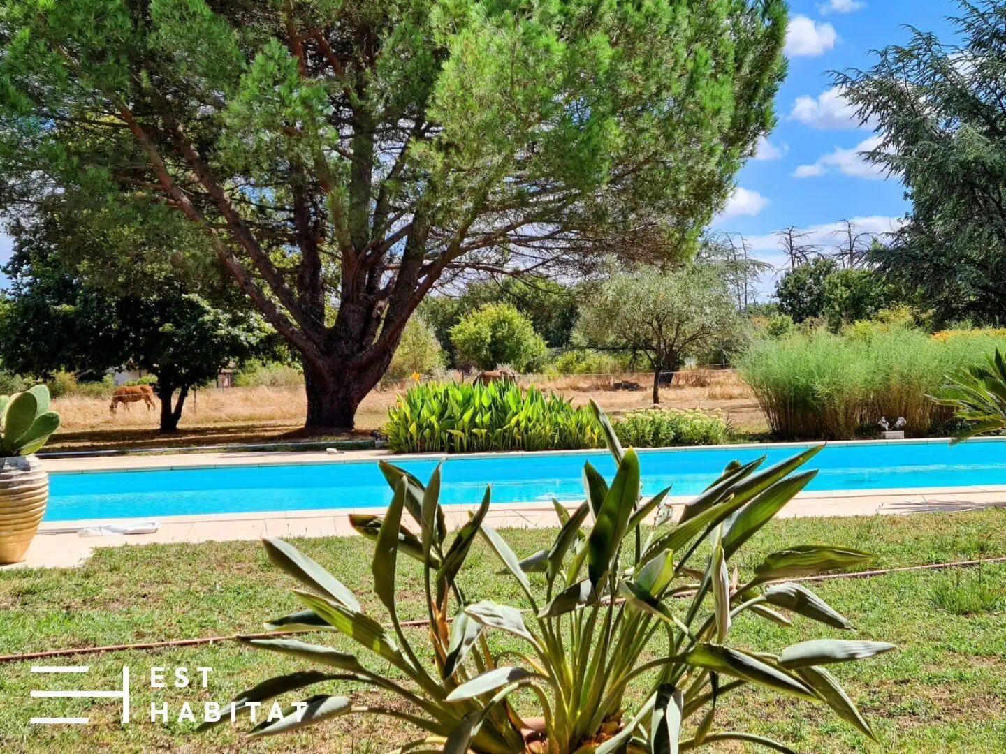 Maison à vendre, 320m², Mondonville