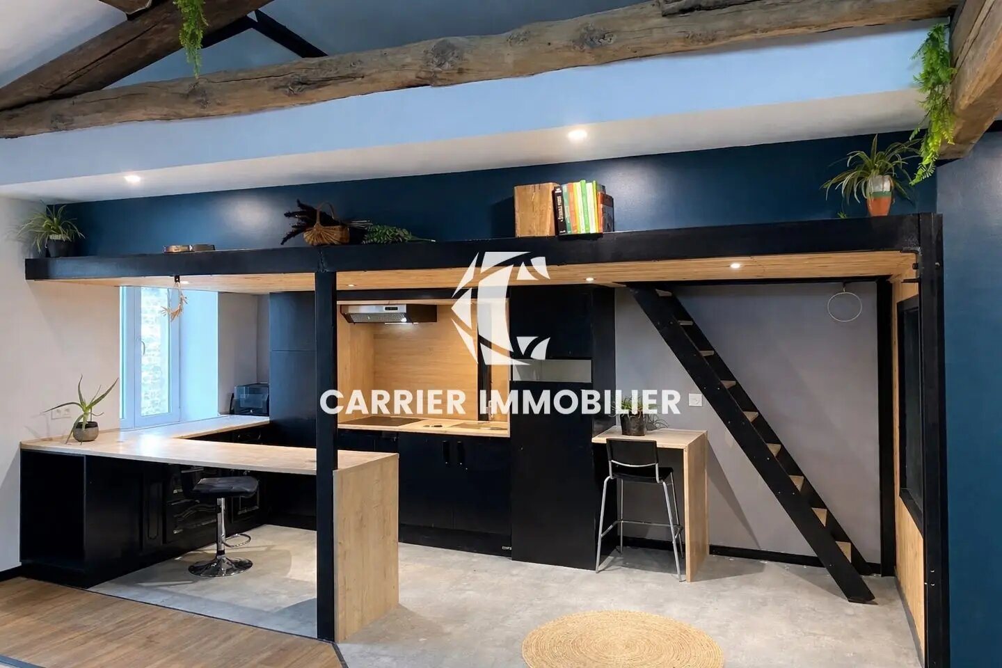 Maison à vendre, 120m², Brussieu