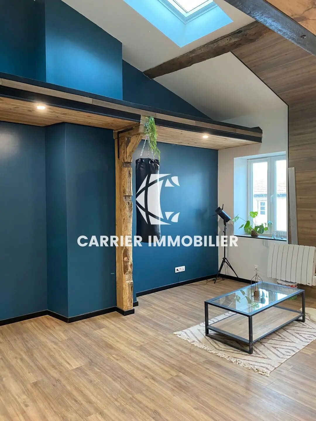 Maison à vendre, 120m², Brussieu