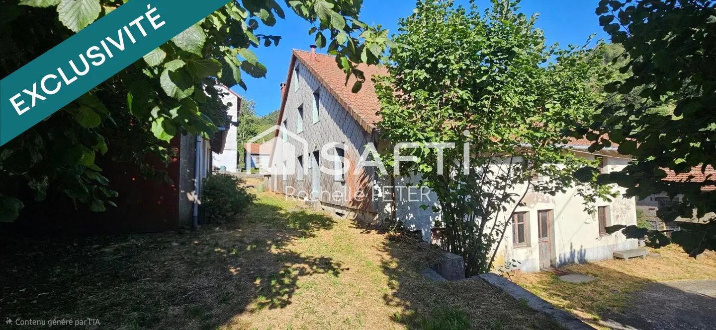 Maison à vendre, 260m², Basse-sur-le-Rupt