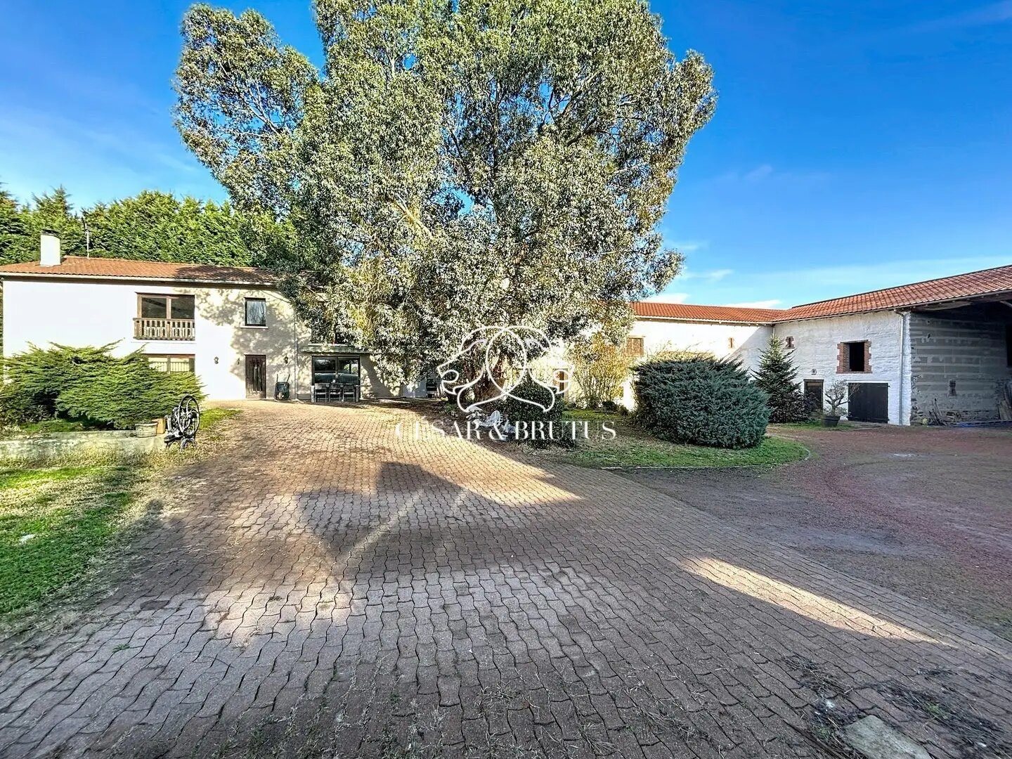 Maison à vendre, 250m², Nervieux