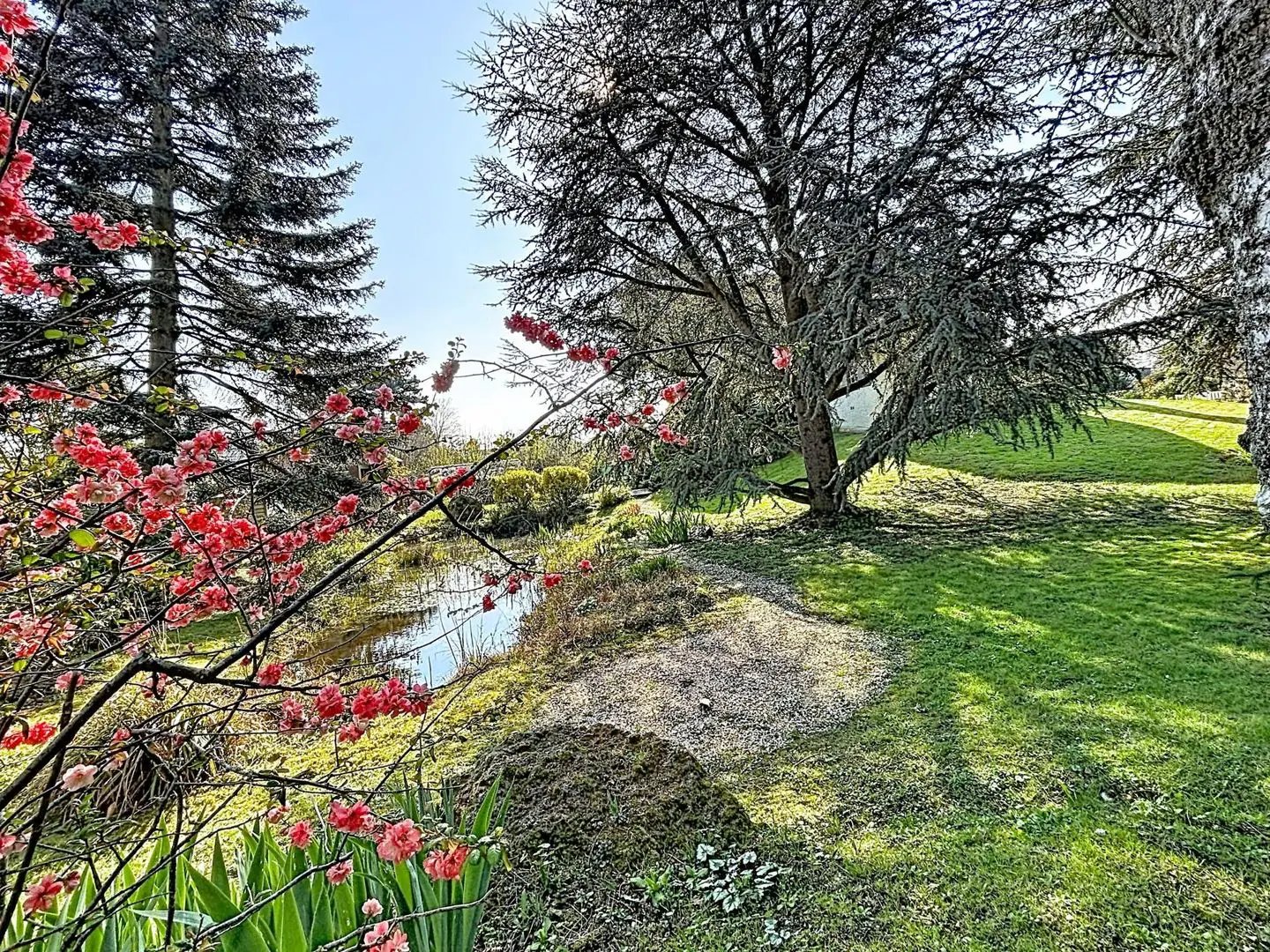 Maison à vendre, 195m², Le Mesnil-Saint-Denis