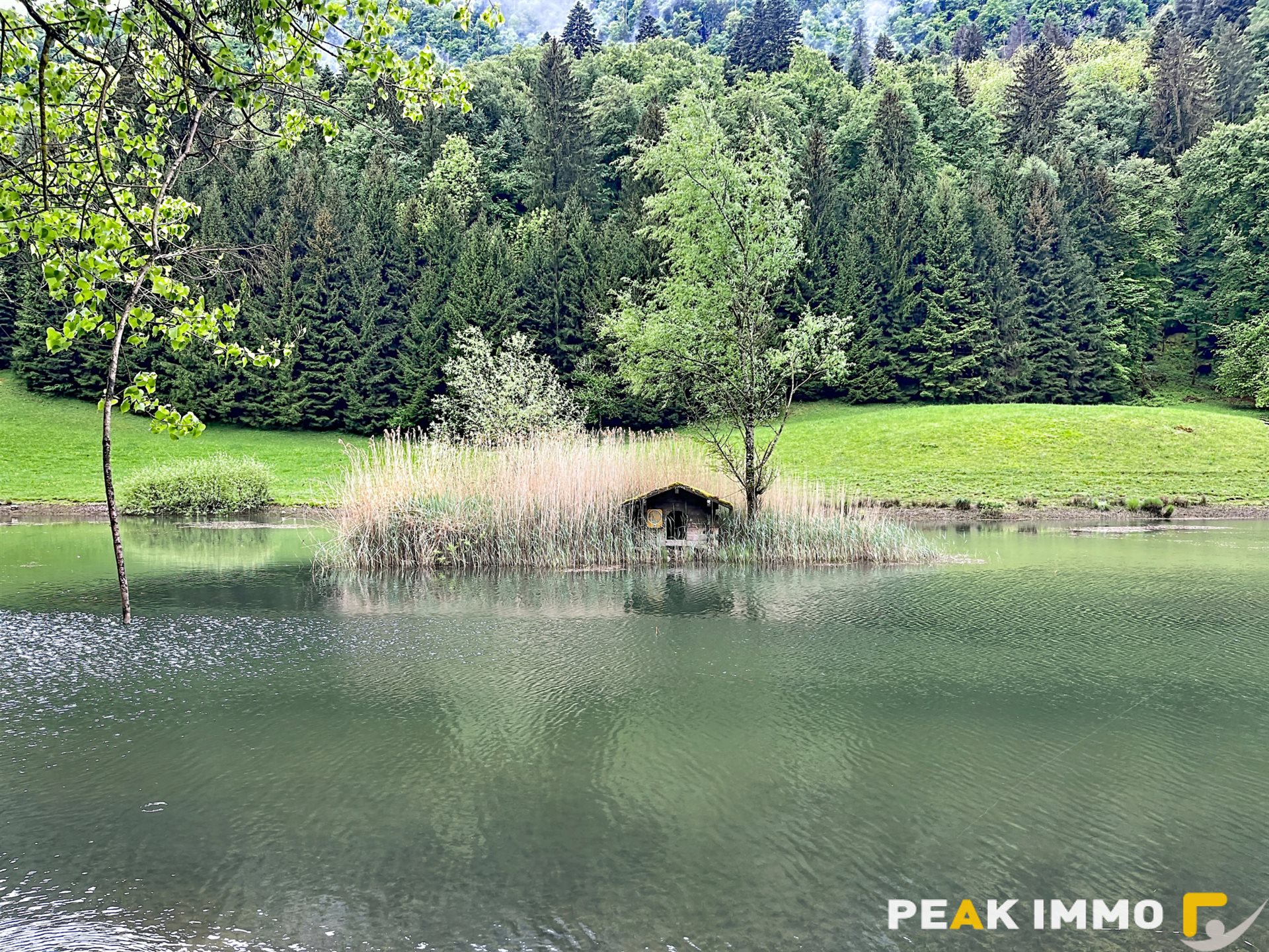 Appartement à vendre, 54m², Mieussy (Praz de Lys - Sommand)