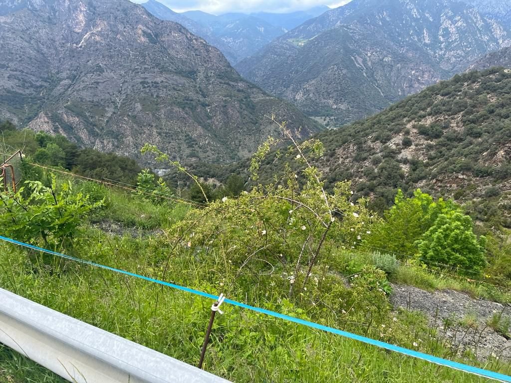 Chalet de 4 habitaciones en venta en Juberri, Sant Julià de Lòria · 2 de 4