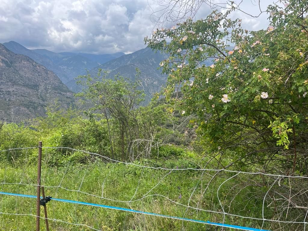 Property for sale in Aixirivall, Sant Julià de Lòria · 2 of 3