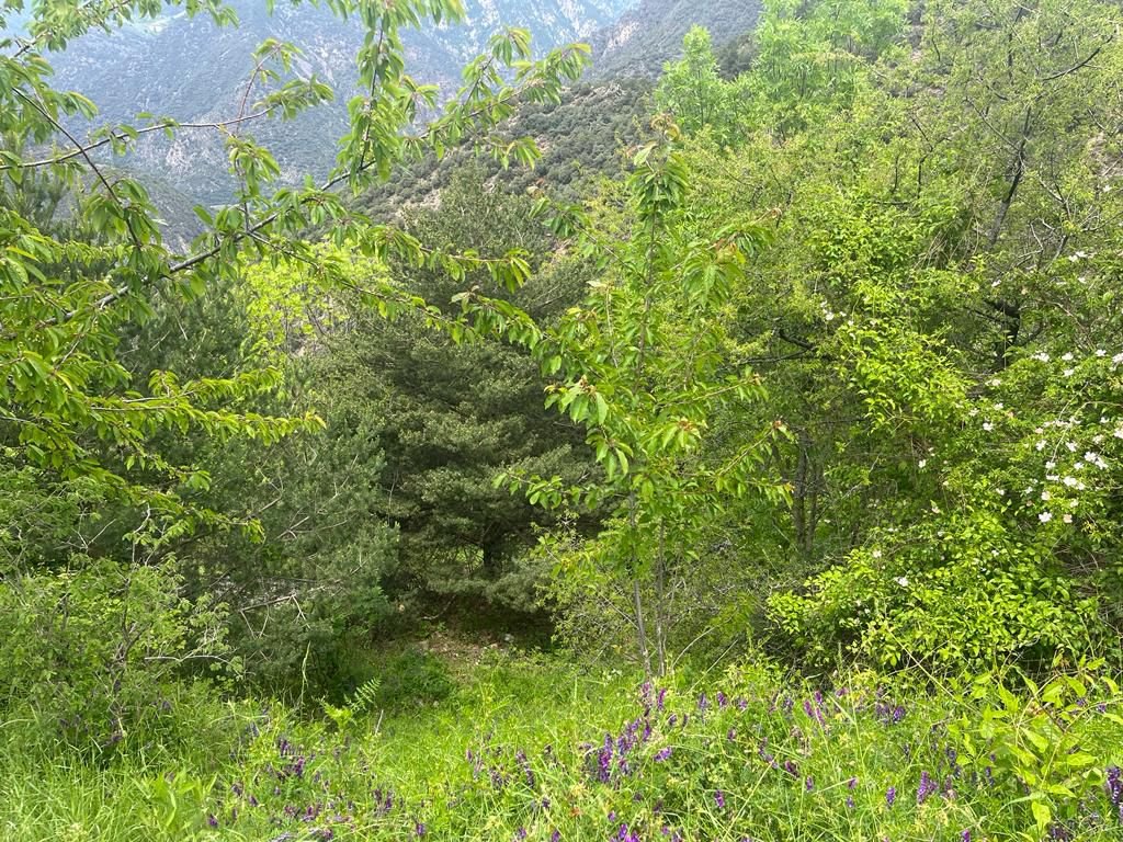 Property for sale in Aixirivall, Sant Julià de Lòria · 3 of 3