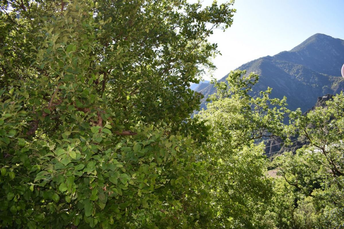 Property for sale in Nagol, Sant Julià de Lòria · 2 of 3