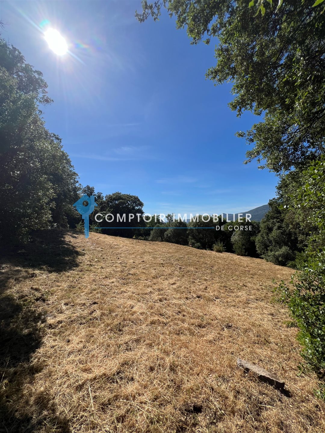 Maison à vendre, 160m², Viggianello