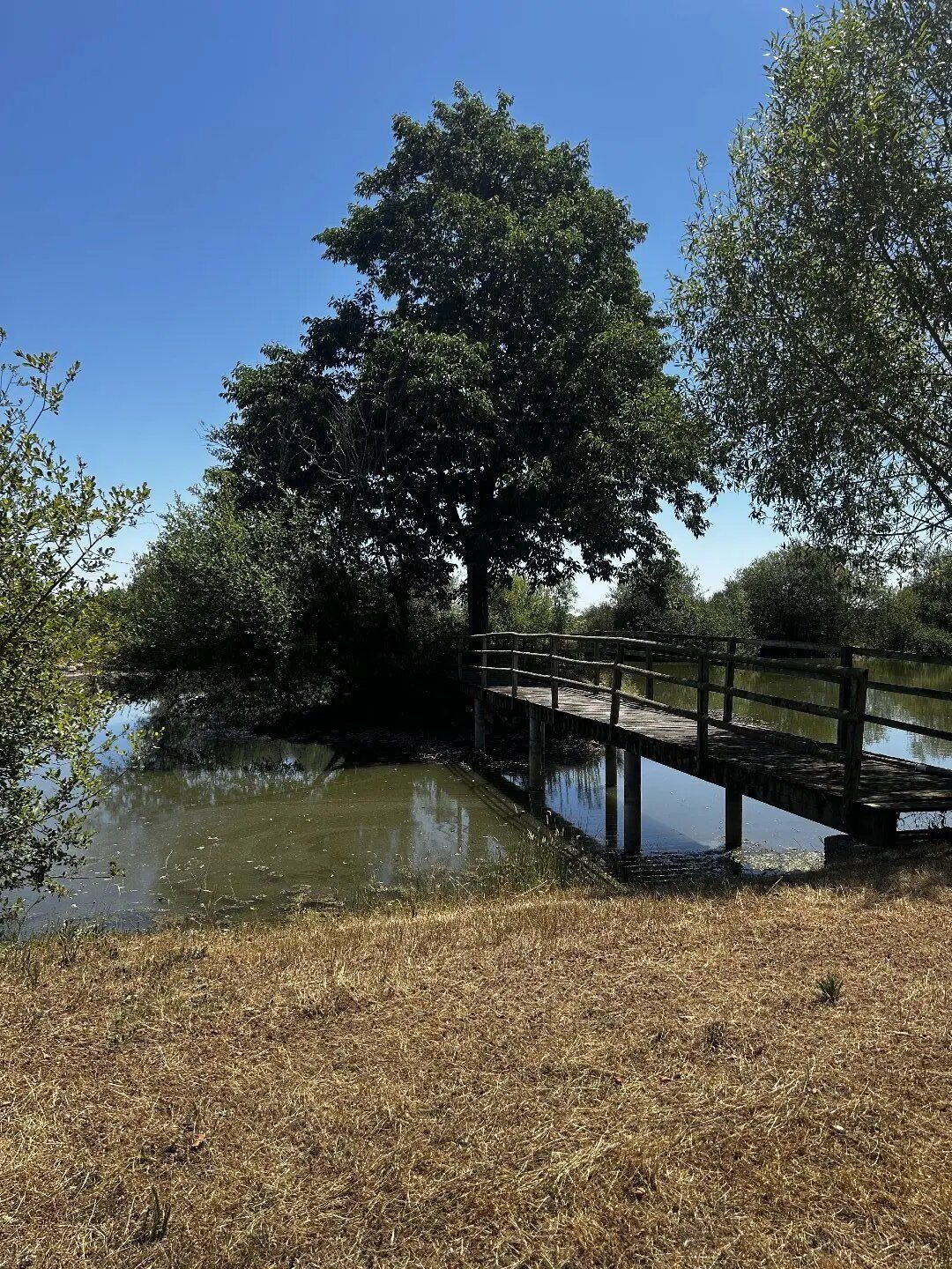 Maison à vendre, 90m², Cléré-sur-Layon