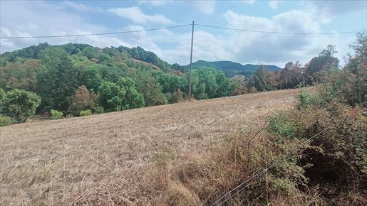Terrain 5563 m² · à Saint-Affrique · 5 563 m² · 165 000 €