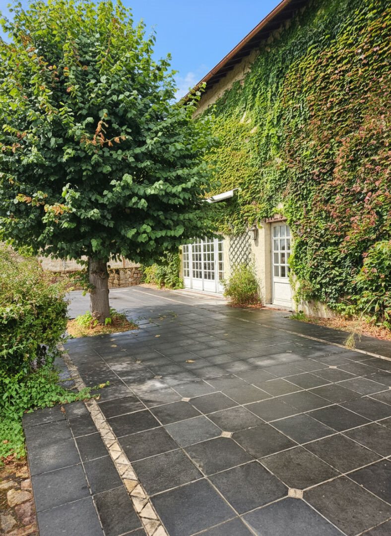 Maison à vendre, 800m², Le Dorat
