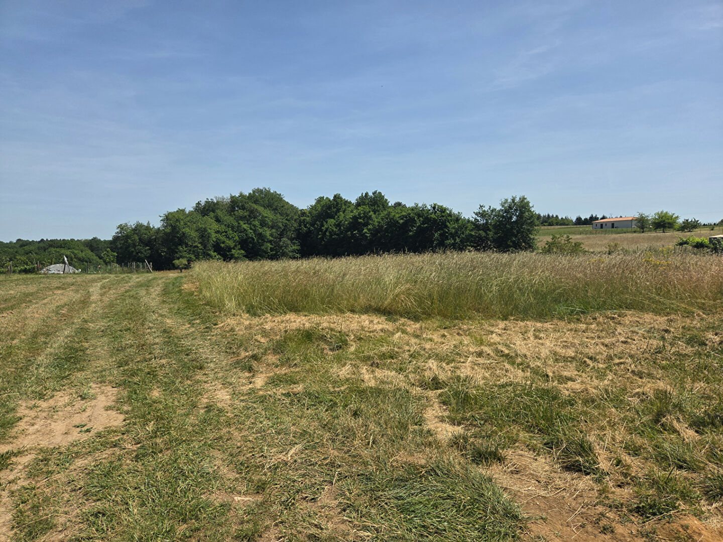 Terrain Rouffignac Saint Cernin De Reilhac 6000 m² - Vue 4
