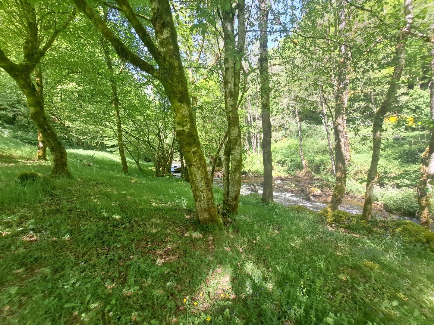 Maison à vendre, 230m², La Roche-Canillac