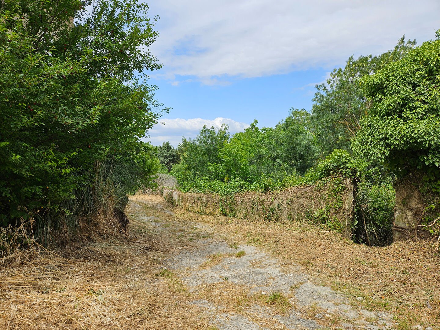 Maison à vendre, 223m², Pennautier