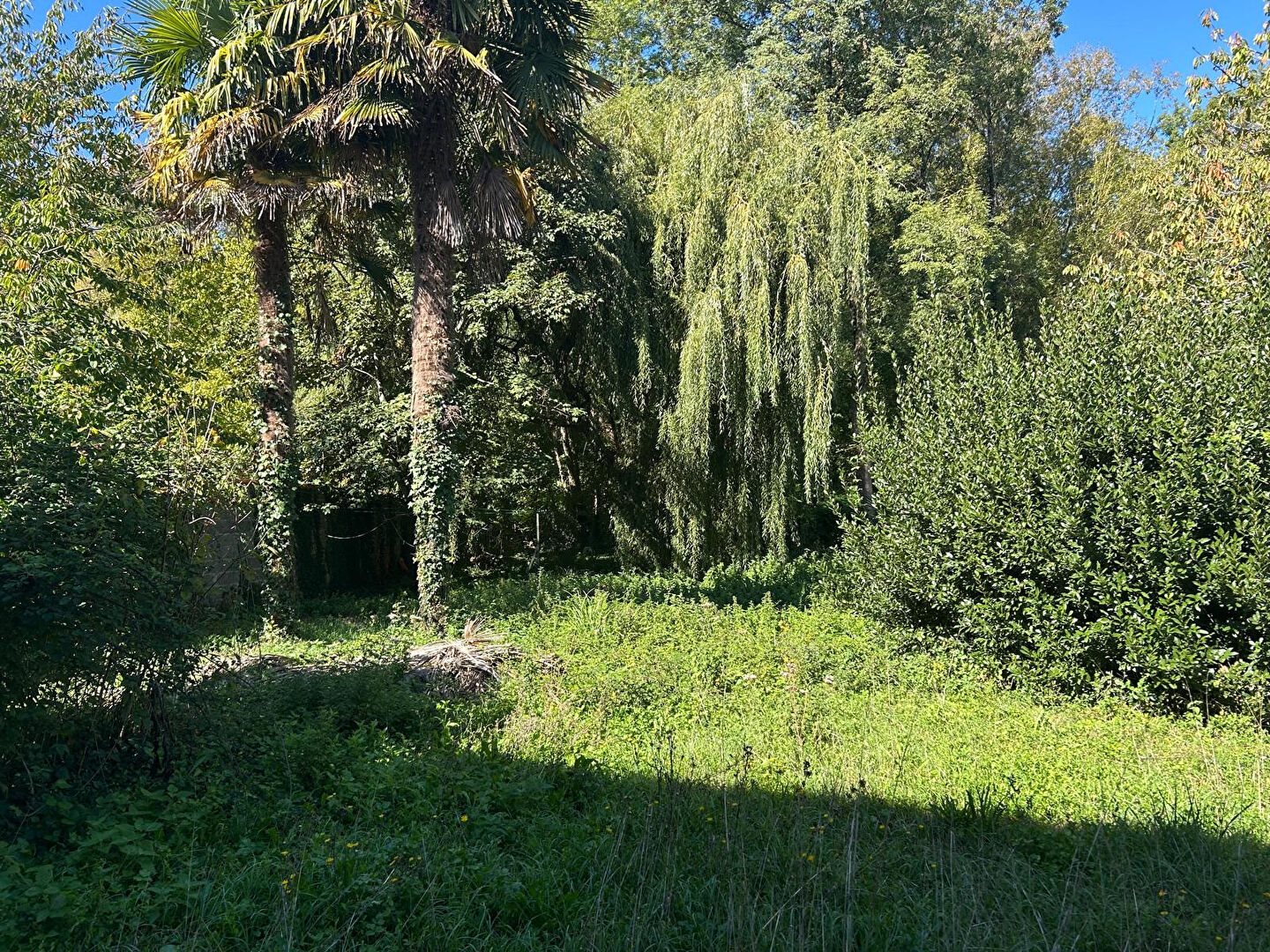 Maison à vendre, 341m², Vervant