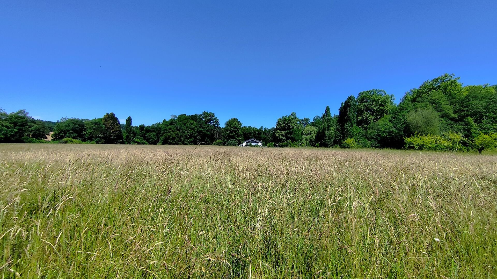 Maison à vendre, 300m², Peyrehorade