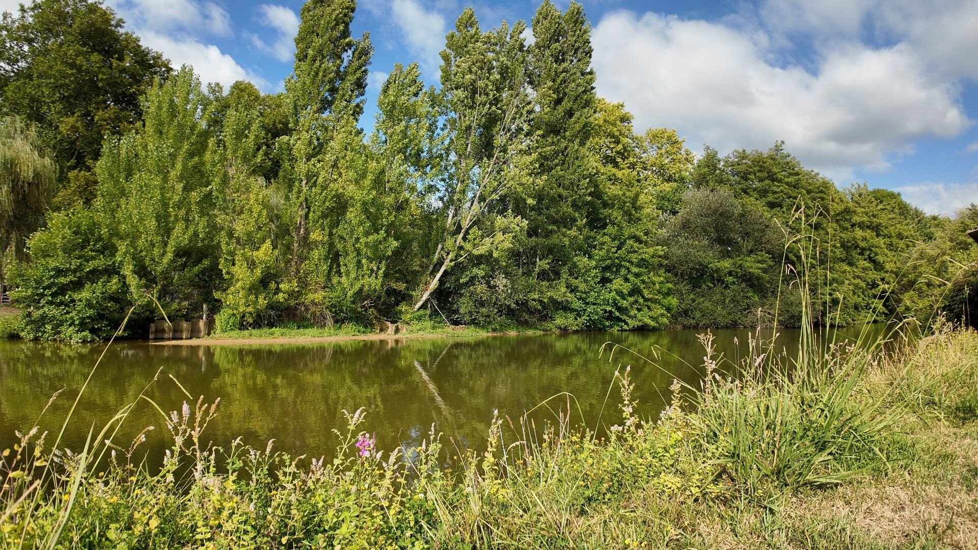 Maison à vendre, 300m², Peyrehorade