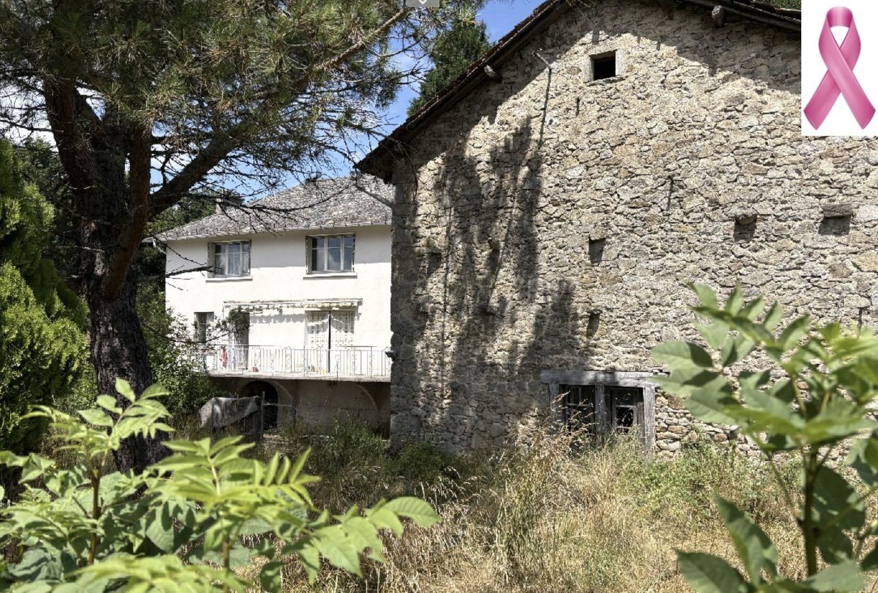 Maison à vendre, 190m², Saint-Mamet-la-Salvetat