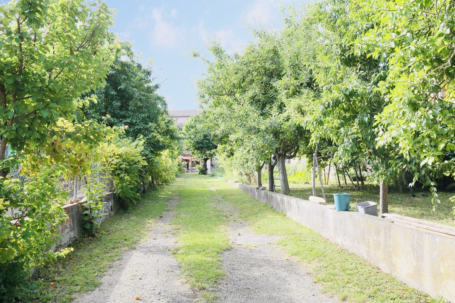 Maison à vendre, 310m², Grisolles