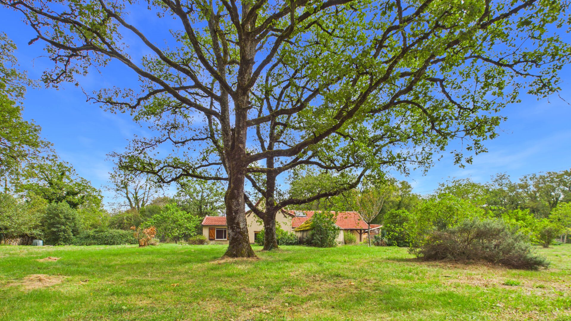 Maison à vendre, 100m², Promilhanes