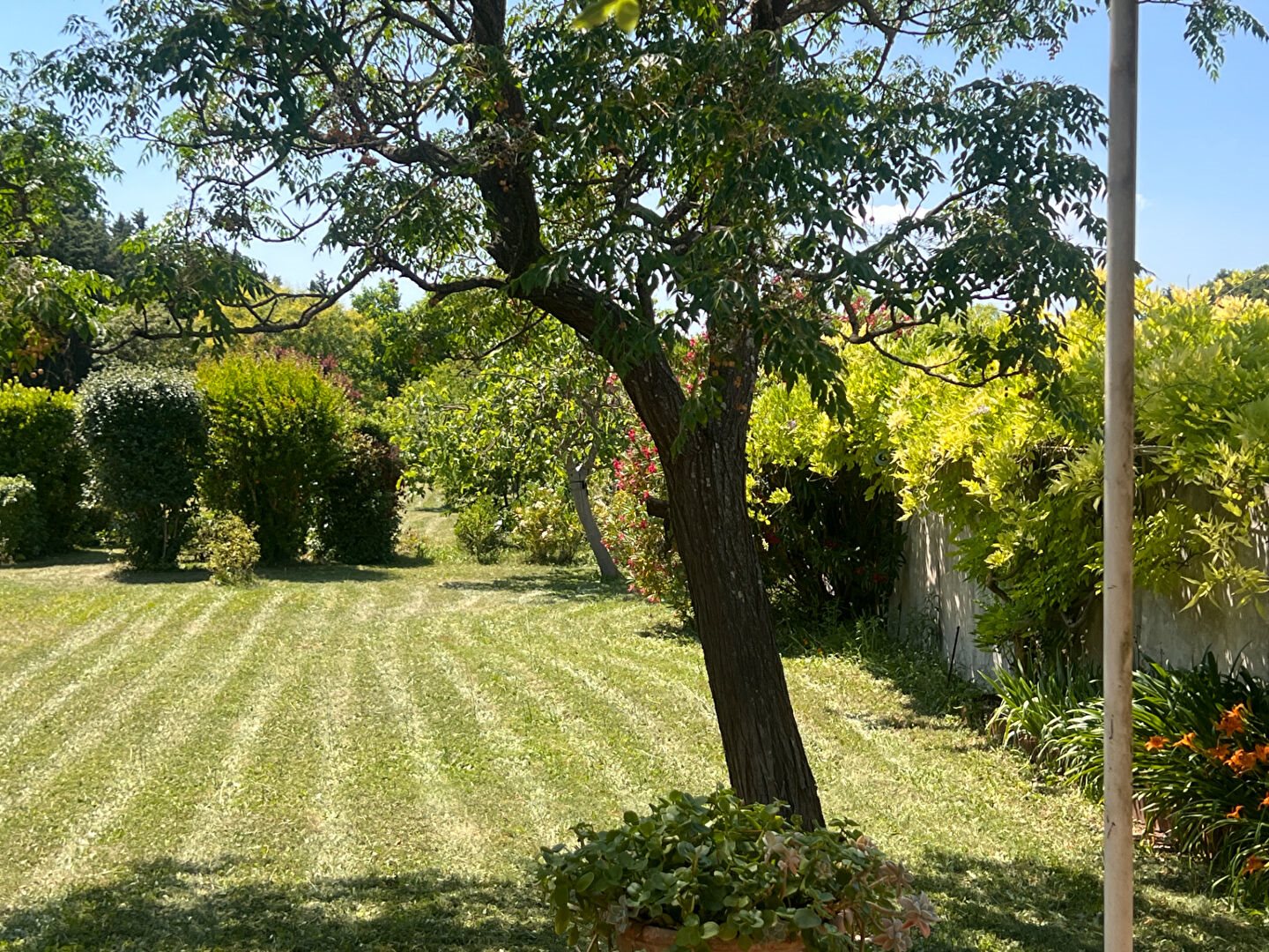Maison à vendre, 147m², Monteux