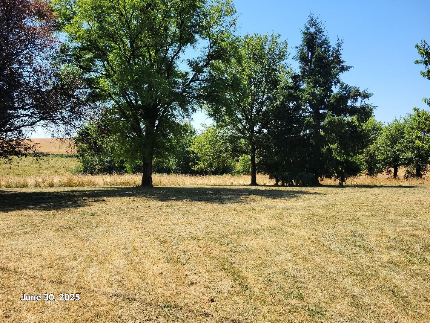 Maison à vendre, 100m², Morlhon-le-Haut