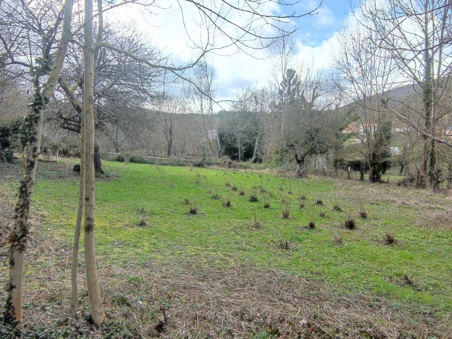 Maison à vendre, 172m², Villeneuve-d'Olmes