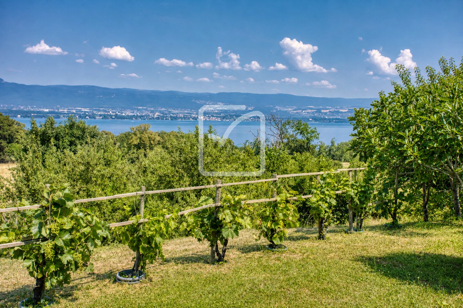 Maison à vendre, 170m², Chens-sur-Léman
