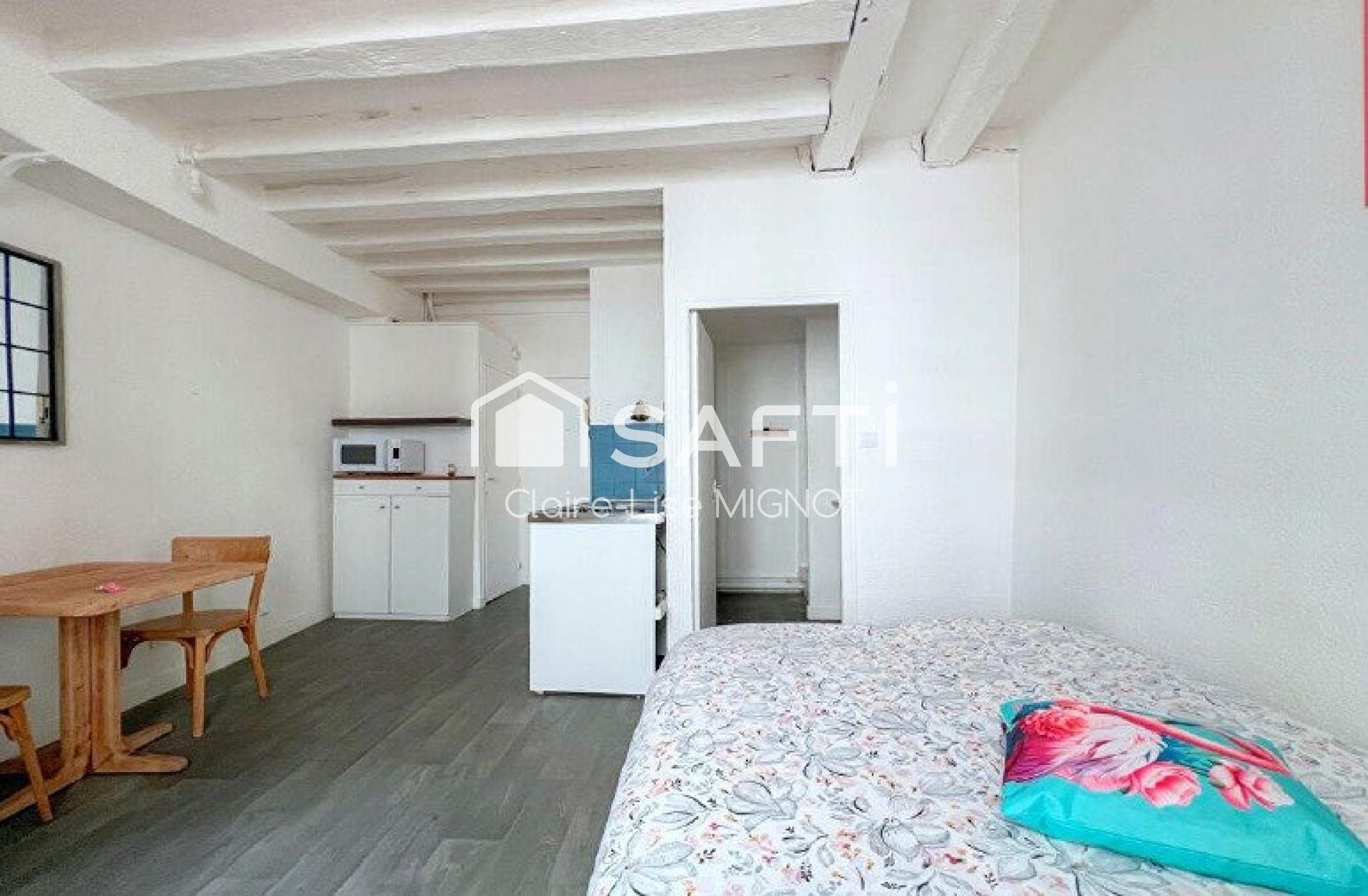 Appartement à vendre, 19m², Angers