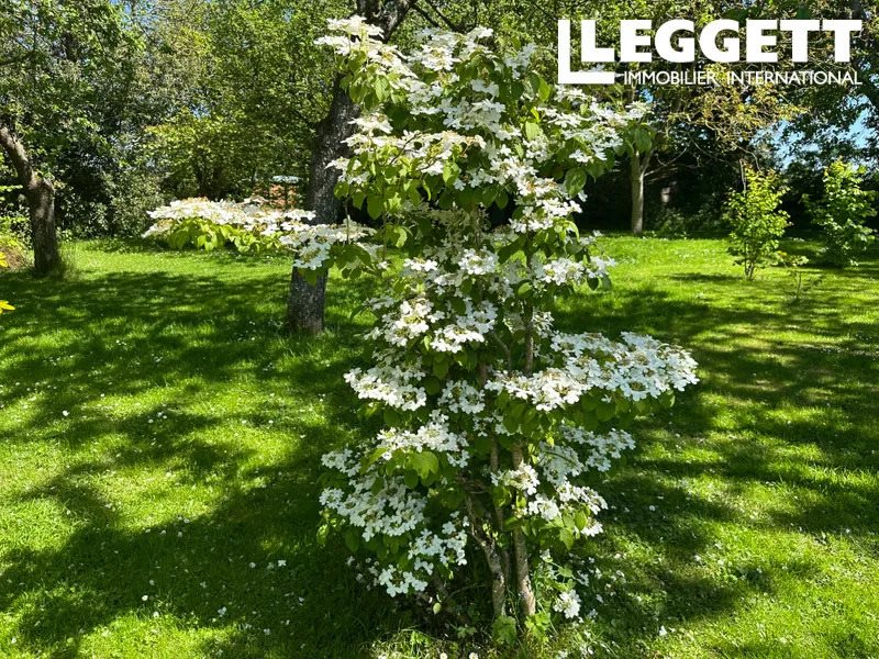 Maison à vendre, 671m², Plestin-les-Grèves
