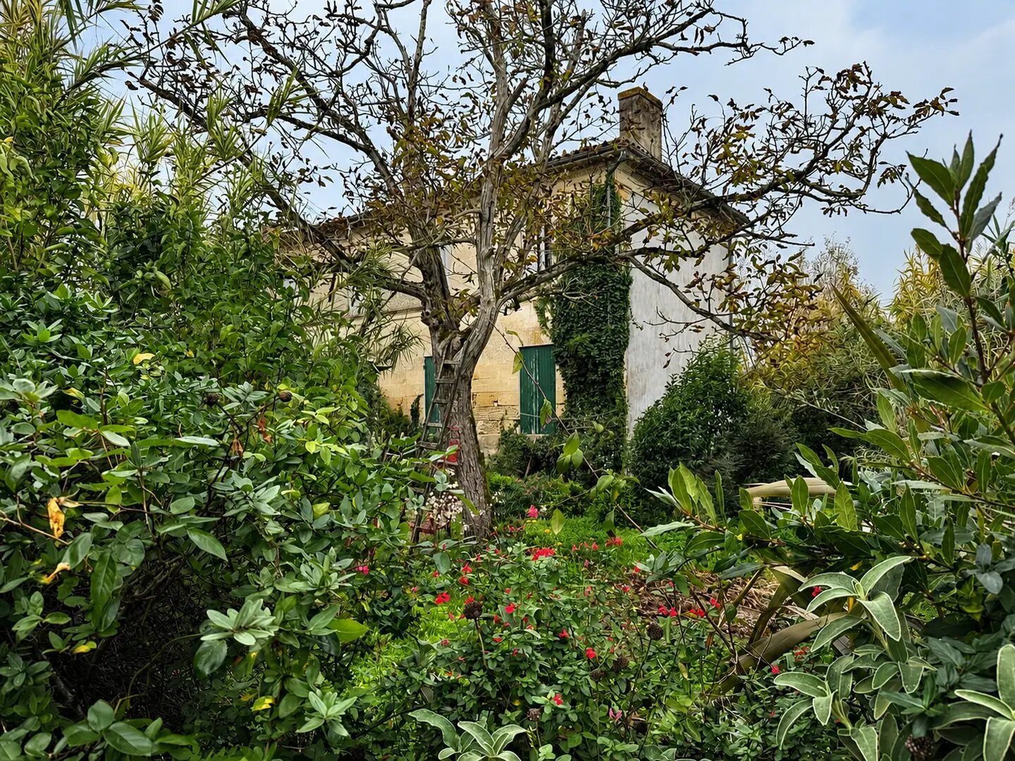 Maison à vendre, 153m², Saint-Seurin-de-Cadourne