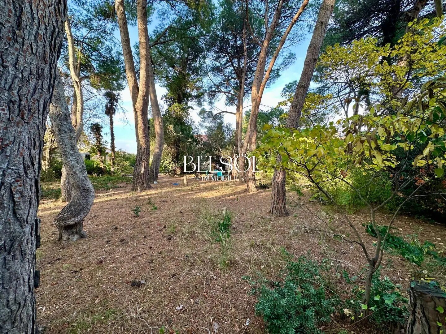 Maison à vendre, 205m², Cabestany