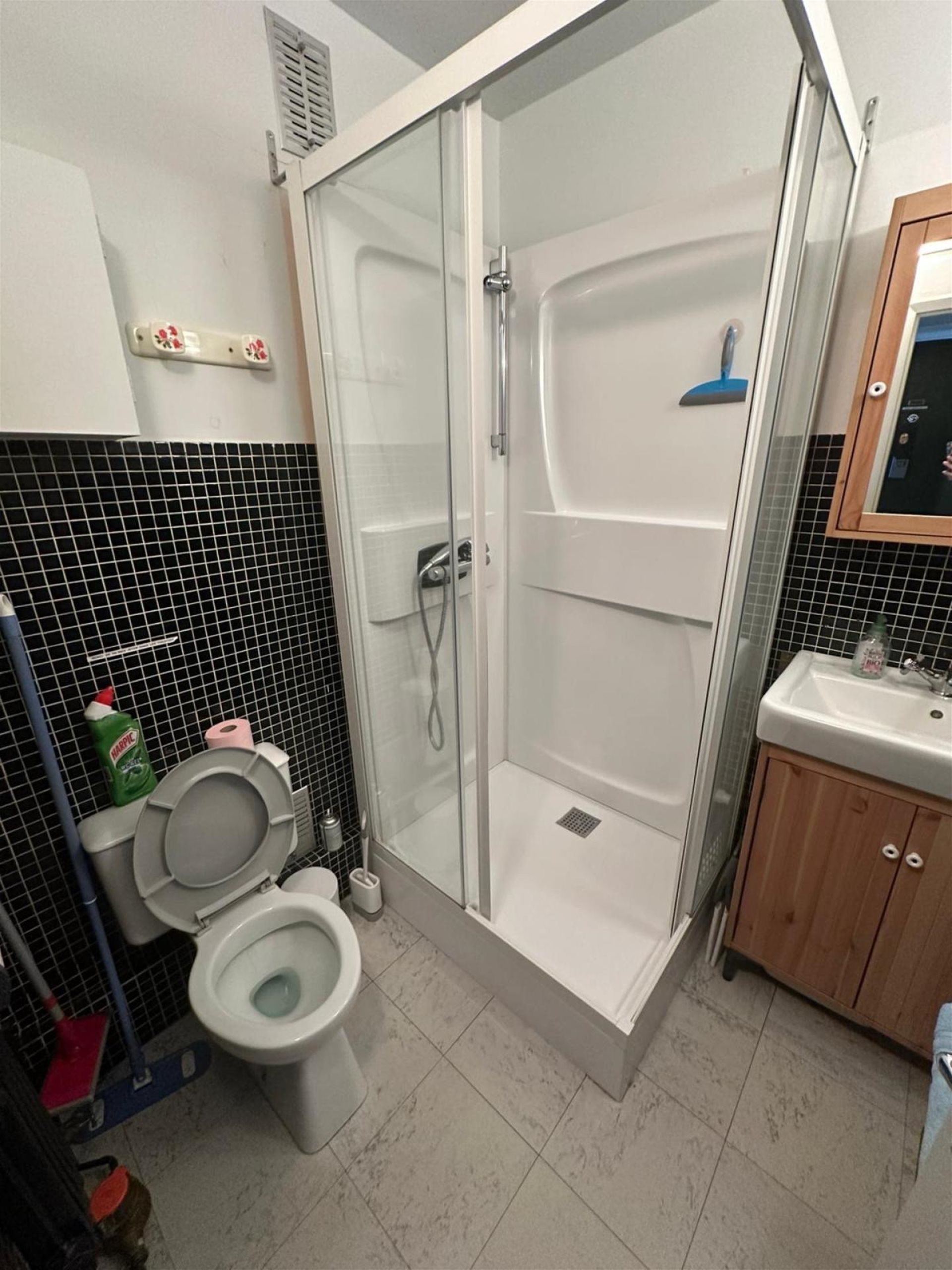 Appartement à vendre, 20m², Besse-et-Saint-Anastaise